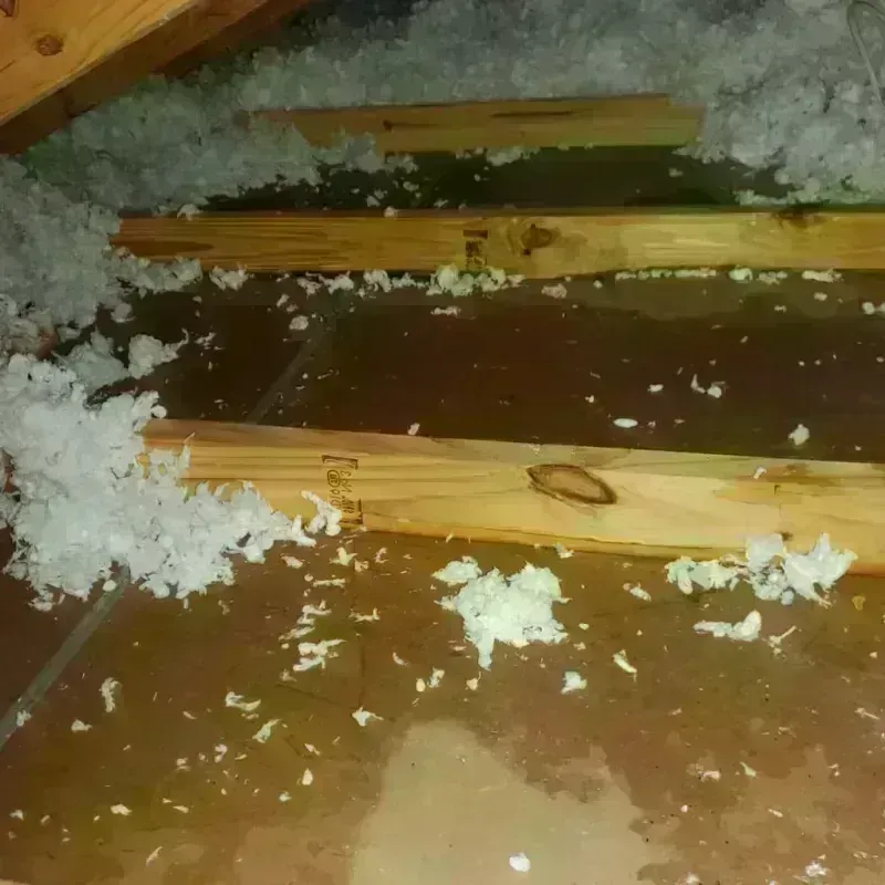 Attic Water Damage in Fortville, IN